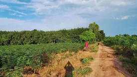 Land for sale in Kut Chap, Udon Thani