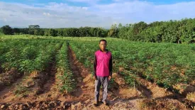 Land for sale in Kut Chap, Udon Thani