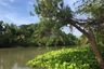 1 Bedroom Land for sale in Ban Pho, Phra Nakhon Si Ayutthaya