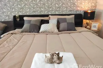 Condo for rent in Siritara Condominium, Mae Hia, Chiang Mai