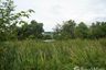 Land for sale in Ban Mai, Nonthaburi