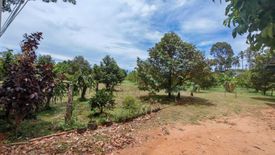 Land for sale in Mae Nam, Surat Thani