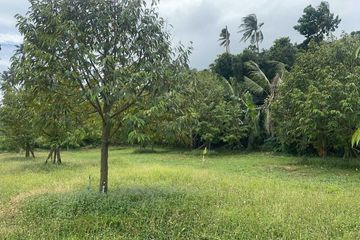 Land for sale in Mae Nam, Surat Thani