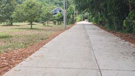 Land for sale in Mae Nam, Surat Thani