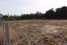 Land for sale in Nong Prue, Chonburi