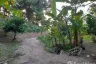 Land for sale in Choeng Thale, Phuket