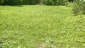 Land for sale in Suthep, Chiang Mai