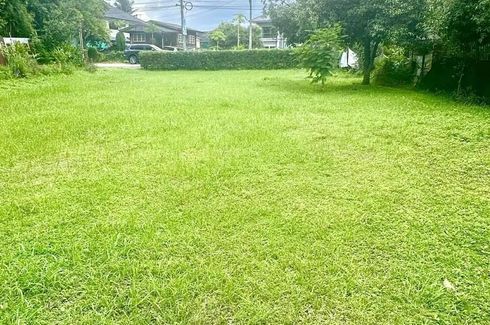 Land for sale in Suthep, Chiang Mai