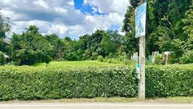 Land for sale in Suthep, Chiang Mai