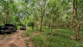 Land for sale in Taling Ngam, Surat Thani