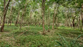Land for sale in Taling Ngam, Surat Thani