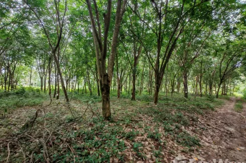 Land for sale in Taling Ngam, Surat Thani