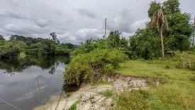 Land for sale in Na Mueang, Surat Thani