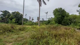 Land for sale in Na Mueang, Surat Thani