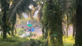 Land for sale in Tha Yu, Phang Nga