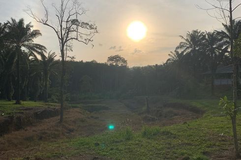 Land for sale in Tha Yu, Phang Nga