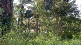 Land for sale in Tha Yu, Phang Nga