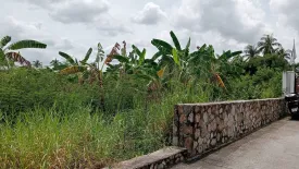 Land for sale in Pong, Chonburi
