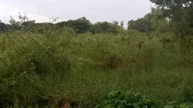 Land for sale in Takhli, Nakhon Sawan