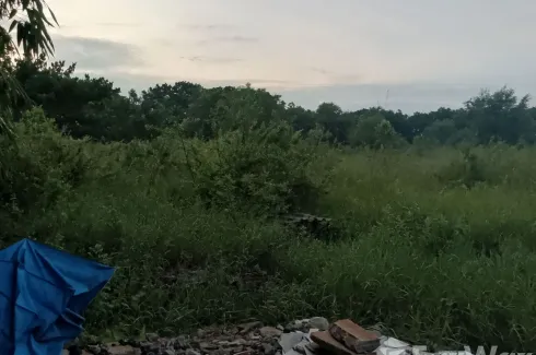 Land for sale in Takhli, Nakhon Sawan