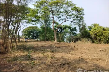 Land for sale in Chomphu, Lampang