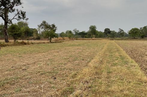 Land for sale in Yang Sak Krapho Lum, Ubon Ratchathani