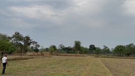 Land for sale in Yang Sak Krapho Lum, Ubon Ratchathani