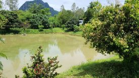 Land for sale in Wang Saphung, Loei