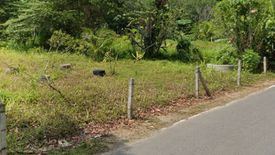 Land for sale in Sakhu, Phuket