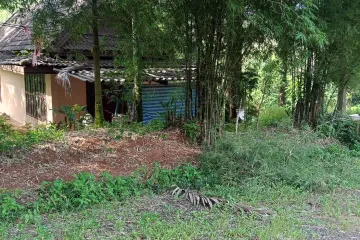 Land for sale in Pa Khlok, Phuket