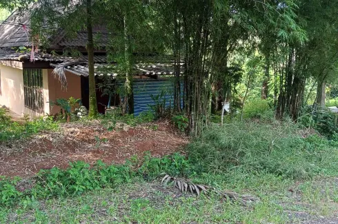 Land for sale in Pa Khlok, Phuket