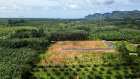 Land for sale in Sai Thai, Krabi