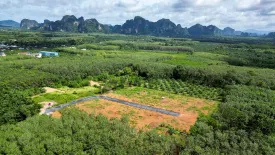 Land for sale in Sai Thai, Krabi