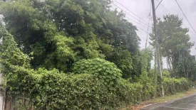 Land for sale in Mai Khao, Phuket