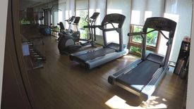 2 Bedroom Condo for rent in Hasu Haus, Phra Khanong Nuea, Bangkok near BTS On Nut