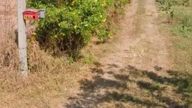 Land for sale in Chang Thong, Nakhon Ratchasima