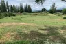 Land for sale in Wang Phong, Prachuap Khiri Khan