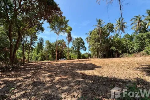 Land for sale in Taling Ngam, Surat Thani