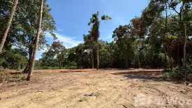 Land for sale in Taling Ngam, Surat Thani