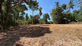 Land for sale in Taling Ngam, Surat Thani