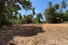 Land for sale in Taling Ngam, Surat Thani