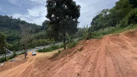 Land for sale in Sakhu, Phuket