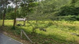 Land for sale in Sakhu, Phuket