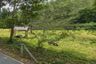 Land for sale in Sakhu, Phuket