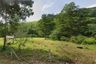 Land for sale in Sakhu, Phuket