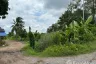 Land for sale in Bang Luk Suea, Nakhon Nayok