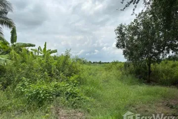 Land for sale in Bang Luk Suea, Nakhon Nayok