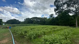 Land for sale in Nong Sarai, Nakhon Ratchasima