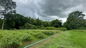 Land for sale in Nong Sarai, Nakhon Ratchasima