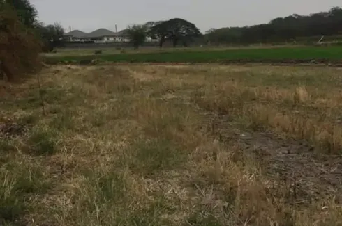 Land for sale in Tan Diao, Saraburi